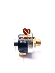 Rơ Le Chỉnh Áp Xuất RANCILIO , EXPOBAR..