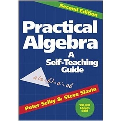 Practical Algebra: A Self-Teaching Guide, Second Edition