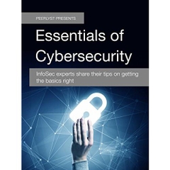 Essentials of Cybersecurity: InfoSec experts share their tips on getting the basics right
