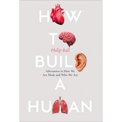 How to Build a Human: Adventures in Who We Are and How We Are Made