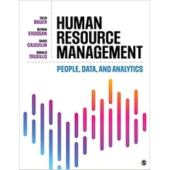 Human Resource Management: People, Data, and Analytics