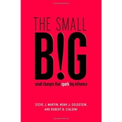 The small BIG: small changes that spark big influence