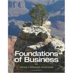 Foundations of Business (4th edition)