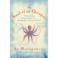 The Soul of an Octopus: A Surprising Exploration into the Wonder of Consciousness