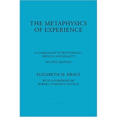 The Metaphysics of Experience: A Companion to Whitehead's Process and Reality