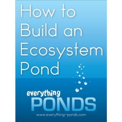How to Build an Ecosystem Pond