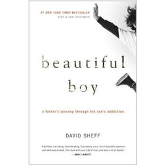 Beautiful Boy: A Father's Journey Through His Son's Addiction