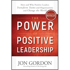 The Power of Positive Leadership: How and Why Positive Leaders Transform Teams and Organizations and Change the World