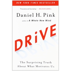 Drive: The Surprising Truth About What Motivates Us