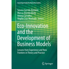 Eco-Innovation and the Development of Business Models: Lessons from Experience and New Frontiers in Theory and Practice