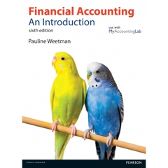 Financial Accounting: An Introduction