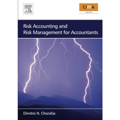 Risk Accounting and Risk Management for Accountants