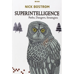 Superintelligence: Paths, Dangers, Strategies