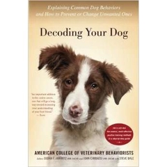 Decoding Your Dog: Explaining Common Dog Behaviors and How to Prevent or Change Unwanted Ones