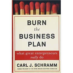 Burn the Business Plan: What Great Entrepreneurs Really Do