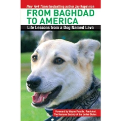 From Baghdad to America: Life Lessons from a Dog Named Lava