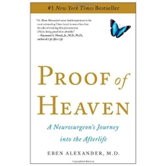 Proof of Heaven: A Neurosurgeon's Journey into the Afterlife