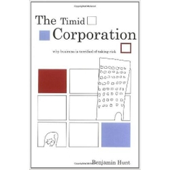The Timid Corporation: Why Business is Terrified of Taking Risk