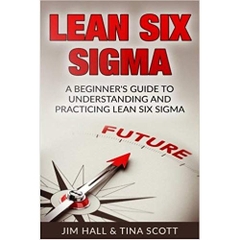 Lean Six Sigma: Beginner's Guide to Understanding and Practicing Lean Six Sigma