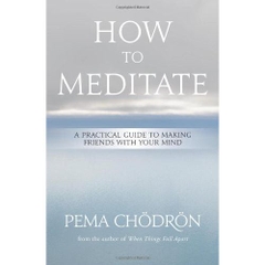 How to Meditate: A Practical Guide to Making Friends with Your Mind