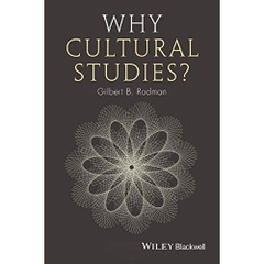 Why Cultural Studies