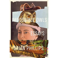 Impossible Owls: Essays