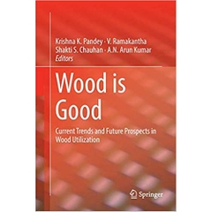 Wood is Good: Current Trends and Future Prospects in Wood Utilization