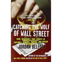 Catching the Wolf of Wall Street: More Incredible True Stories of Fortunes, Schemes, Parties, and Prison