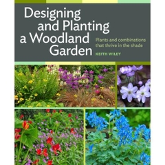 Designing and Planting a Woodland Garden: Plants and Combinations that Thrive in the Shade