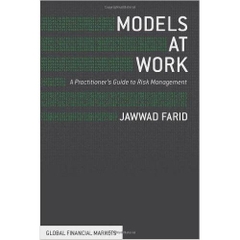 Models at Work: A Practitioner's Guide to Risk Management