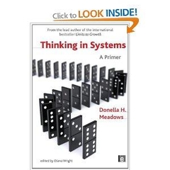 Thinking in Systems: A Primer