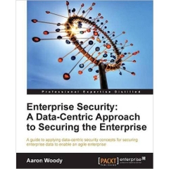 Enterprise Security: A Data-Centric Approach to Securing the Enterprise