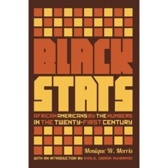 Black Stats: African Americans by the Numbers in the Twenty-first Century