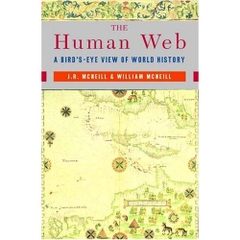 The Human Web: A Bird's-Eye View of World History