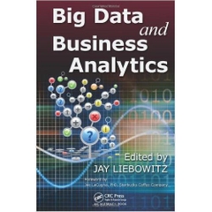 Big Data and Business Analytics