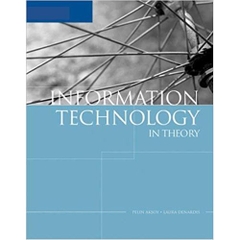 Information Technology in Theory (Information Technology Concepts) 1st Edition