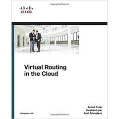 Virtual Routing in the Cloud (Networking Technology) 1st Edition