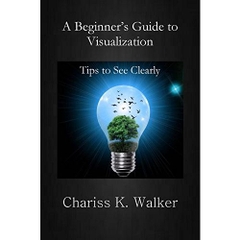 A Beginner's Guide to Visualization: Tips to See Clearly