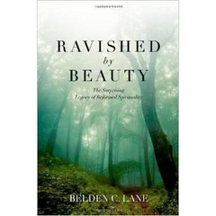 Ravished by Beauty: The Surprising Legacy of Reformed Spirituality