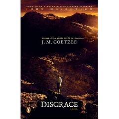 Disgrace: A Novel