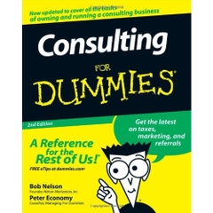 Consulting For Dummies