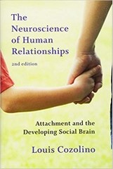 The Neuroscience of Human Relationships: Attachment and the Developing Social Brain (Second Edition) (Norton Series on Interpersonal Neurobiology)