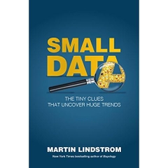 Small Data: The Tiny Clues That Uncover Huge Trends