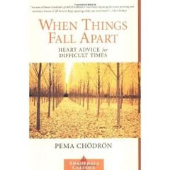 When Things Fall Apart: Heart Advice for Difficult Times