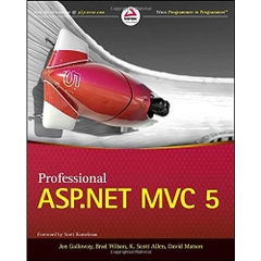 Professional ASP.NET MVC 5