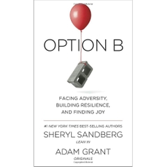 Option B: Facing Adversity, Building Resilience, and Finding Joy