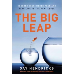 The Big Leap: Conquer Your Hidden Fear and Take Life to the Next Level