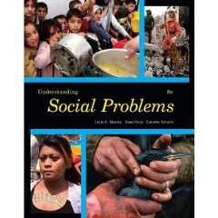 Understanding Social Problems, 8th edition