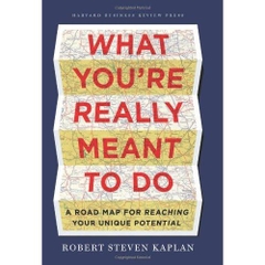 What You're Really Meant to Do: A Road Map for Reaching Your Unique Potential