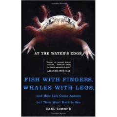 At the Water's Edge : Fish with Fingers, Whales with Legs, and How Life Came Ashore but Then Went Back to Sea